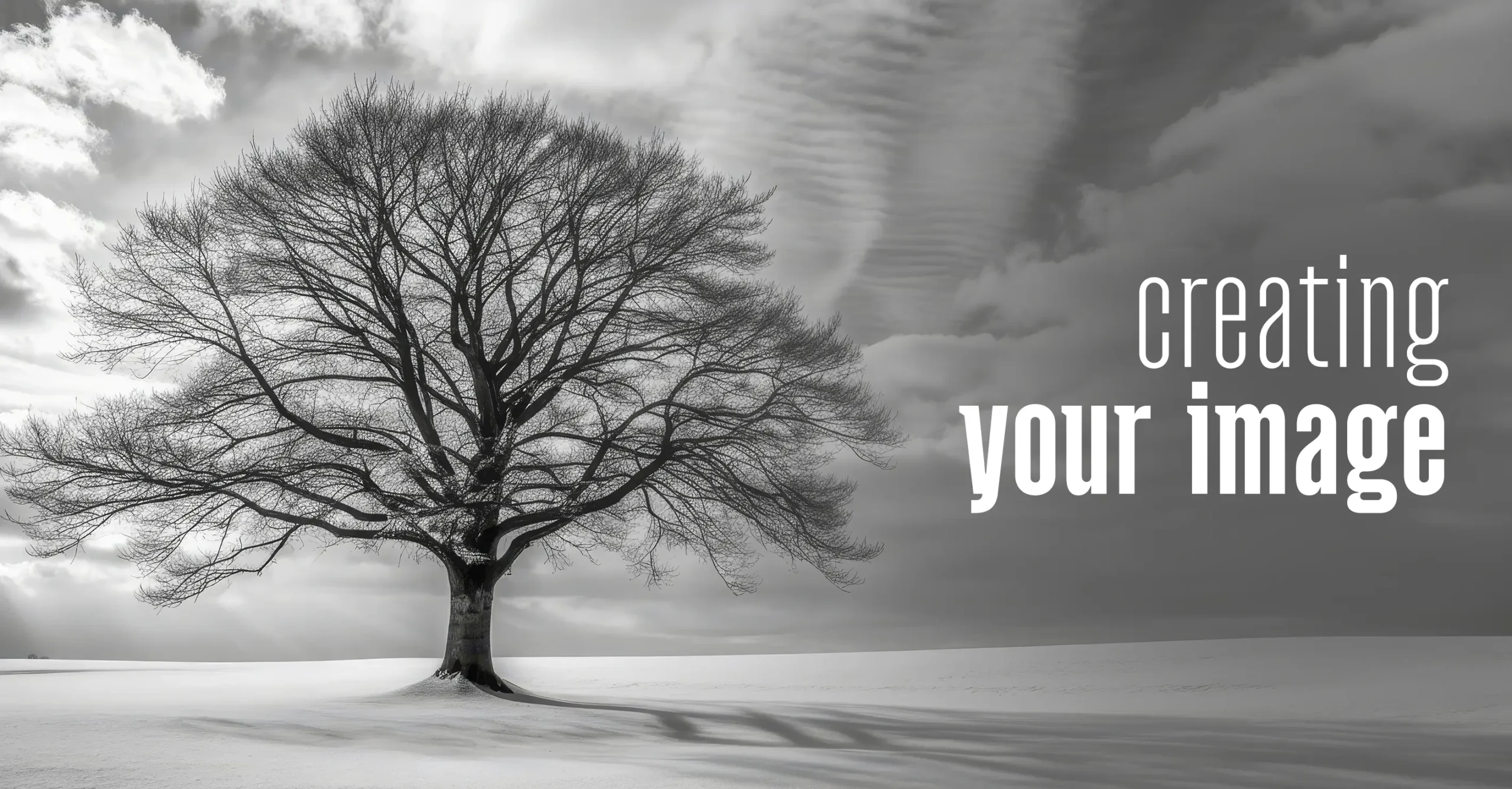 black and white image of a tree with a cloudy sky